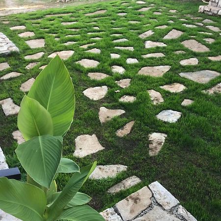 Green Silence - Vuk Podgorica Exterior foto