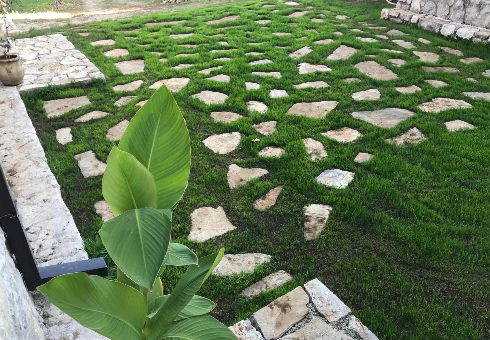 Green Silence - Vuk Podgorica Exterior foto