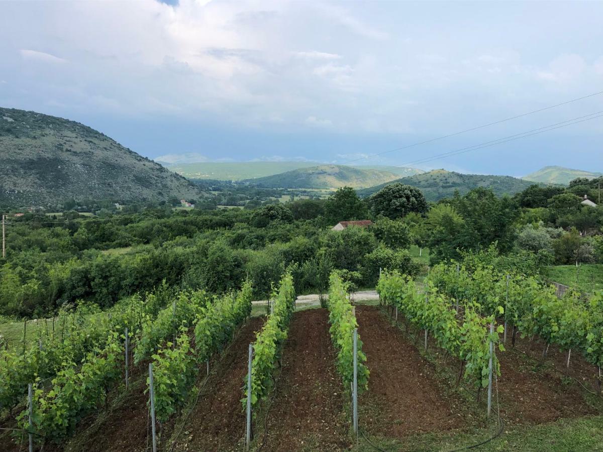 Green Silence - Vuk Podgorica Exterior foto